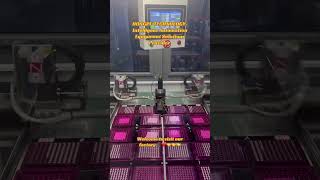 Fully automatic thickness sorting machine