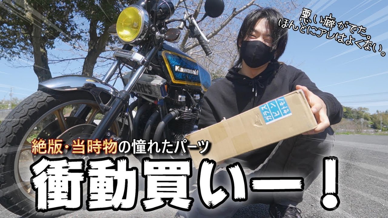 I did it, I bought it, an unexpected customization! [kz1000mk2