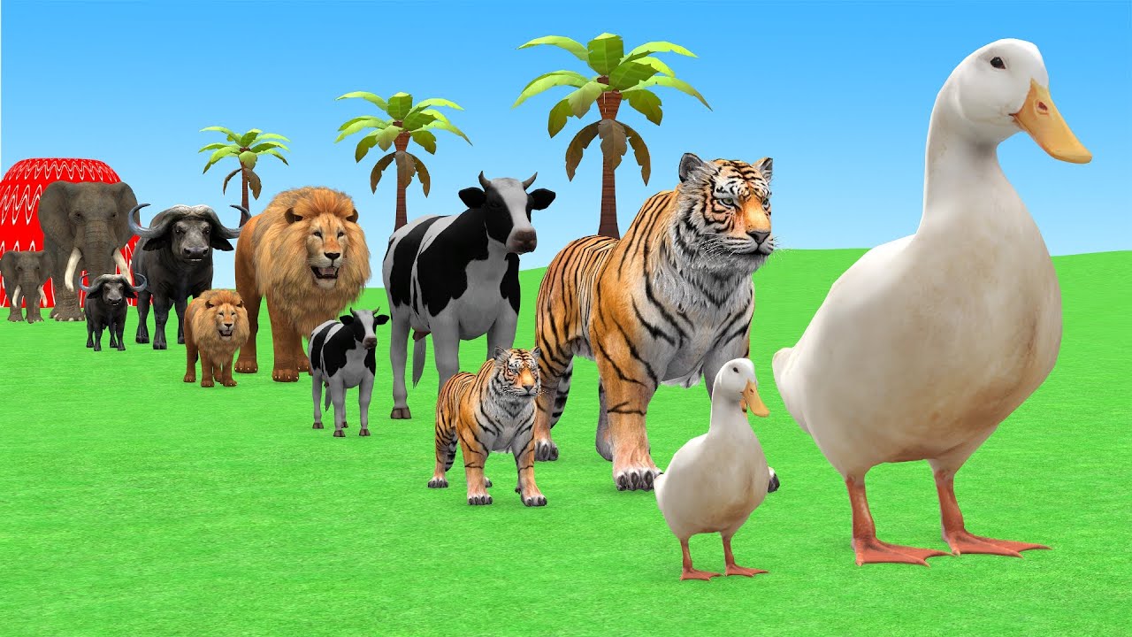 Long Slide Game With Cow Elephant Gorilla Hippopotamus Tiger 3d Animal Game Funny 3d Animals