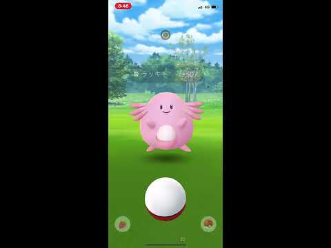 ポケモンGO タマゴ割り2019/01