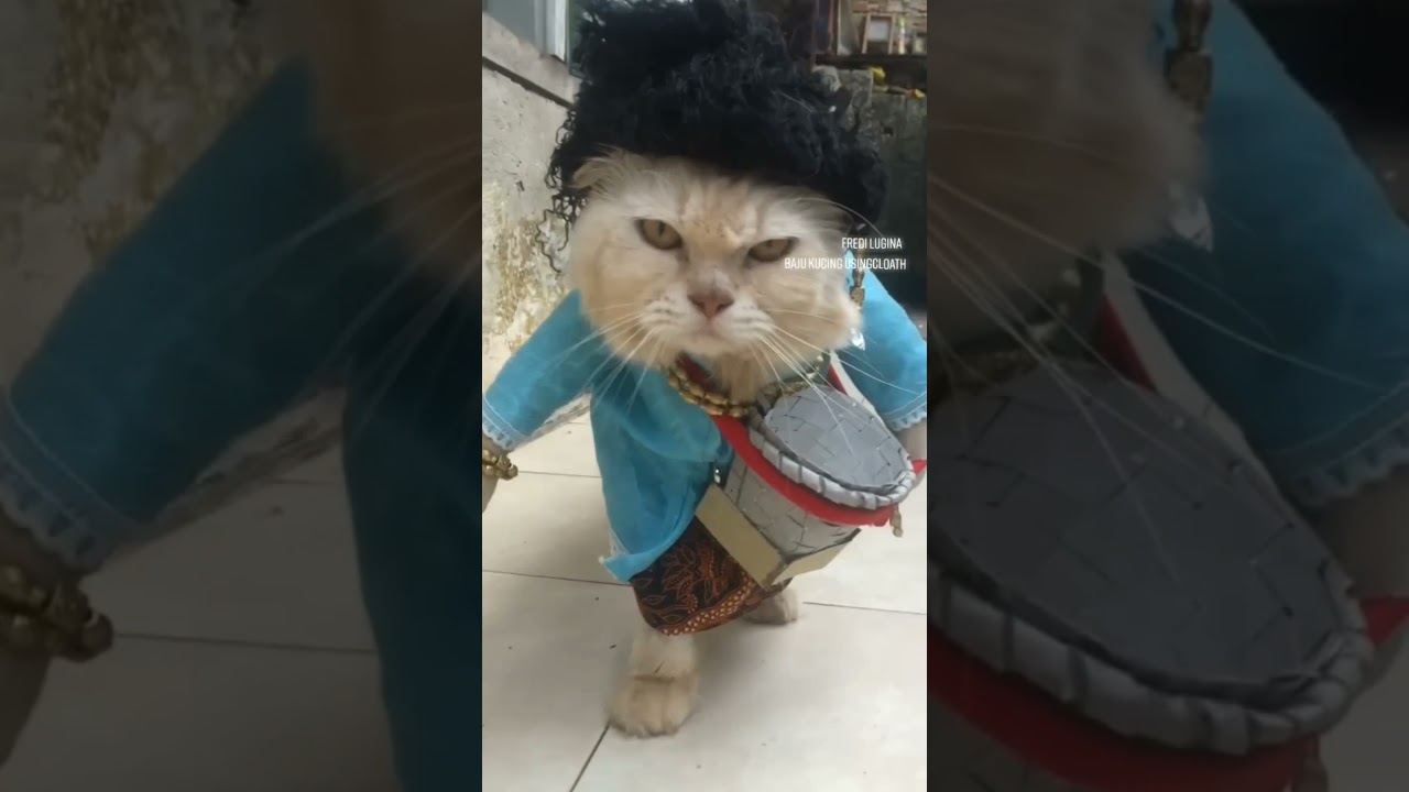 Kucing pakai songkok