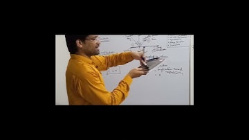 First Law of Reflection || Ray Optics #reflection #rayoptics #viral #shorts #trendingvideo