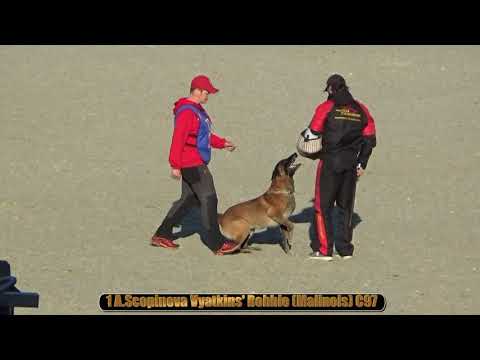 Video: Erich Schomacker Dog