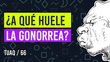 ¿A qué huele la secreción de gonorrea?