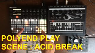 Polyend Play and a Xoxbox - Acid Breakbeat Tutorial Net Worth