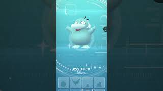 Shiny Psyduck into Shiny Golduck #pokemon #gaming #pokemongo #shorts #youtubeshorts #fyp