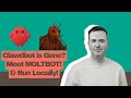Clawdbot is now MOLTBOT! 🚨 + Run it LOCALLY with Ollama!