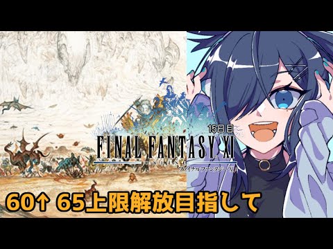 【 FF11 】エオルゼア民のヴァナ・ディール旅行記【 初見実況 #15 】