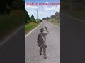 ambush of a truck carrying 35 soldiers #military #militarysimulation #army