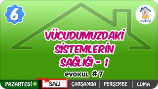 Vücudumuzdaki Sistemlerin Sağlığı 1 | 6. Sınıf #uzaktanegitim #evokul Kampı