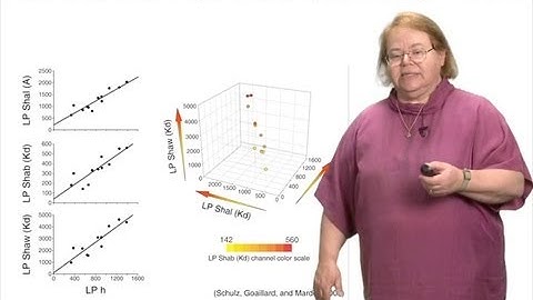 Eve Marder (Brandeis University) Part 4: Intra-animal variability
