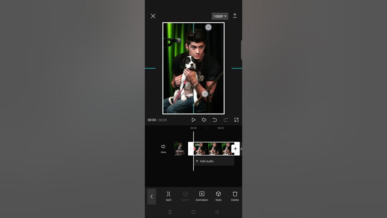 How to Make a Picture Move in CapCut? Moving Zoom Picture Edit