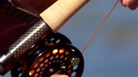 Incredible Trout Fishing in the Eastern Sierras: Part 1