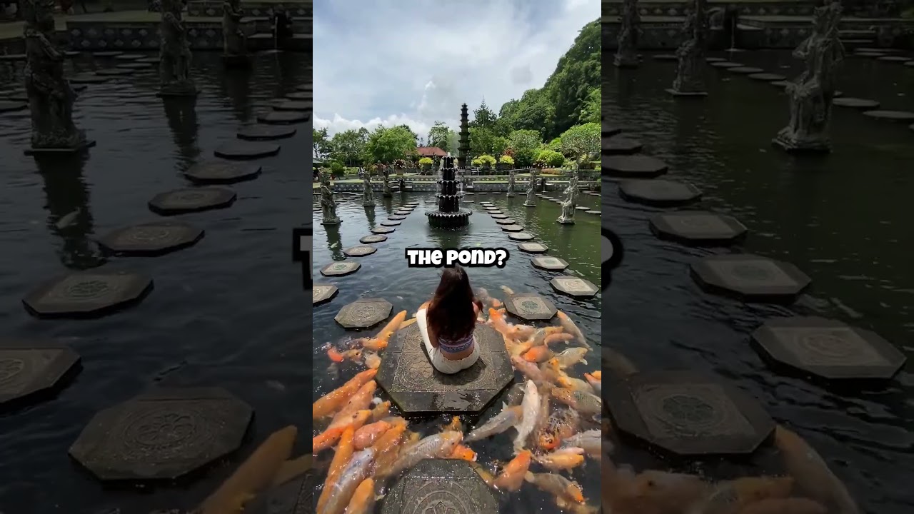 You NEED to Test Pond Water!!