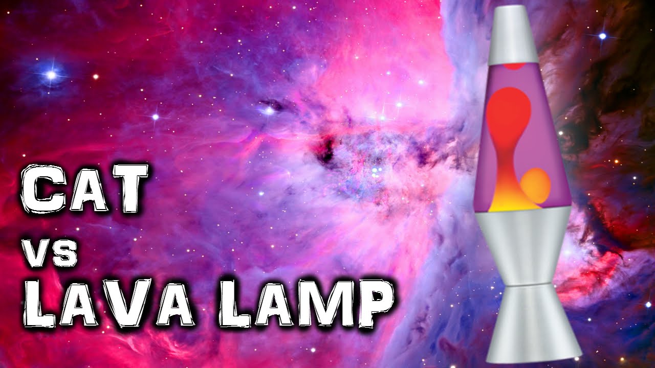 Lava lamp vs Cat Mind control YouTube