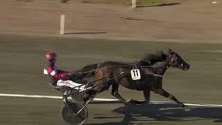 Vidéo de la course PMU PRIX SERVICEKIOSKEN I KINNA | STL BRONSDIVISIONEN, FORSOK 2 I MEETING 3