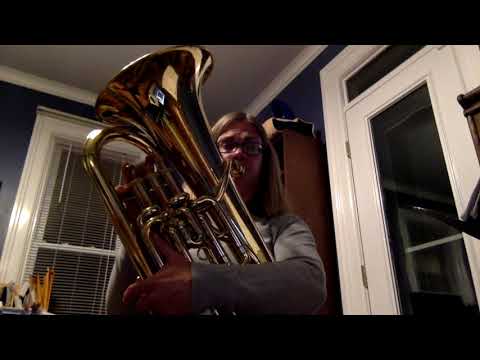 The Swan (Il Cigno) Baritone Horn (Flicorno Tenore) Solo.wmv 