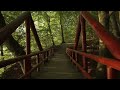 Walking through a part of Marselisborg Forrest. Aarhus, Denmark