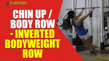 Chin Up/Body Row - Inverted Bodyweight Row