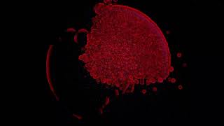 Prepare- Stimming (Visualizer)
