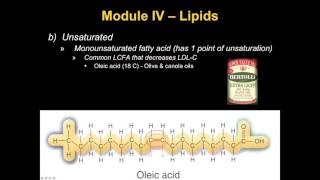 Module IV   Lipids