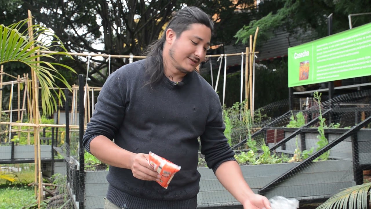 Fungicida con sulfato de cobre