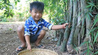 Easy Way To Cook Bamboo Shoot / Bamboo Shoot Soup Recipe / Sreypov Life Show