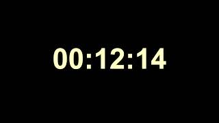 ⏰ 1 Hour Black Screen Timer | Neon Yellow Digital Clock | Study, Sleep & Focus | 4K screenshot 3