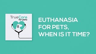 Euthanasia for Pets, When is it Time - TrueCare for Pets Pawcast