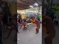 Orangutan attack in the city #viral #aestheic #funny #comedy #dance #funniestvideo #gregarious #fy