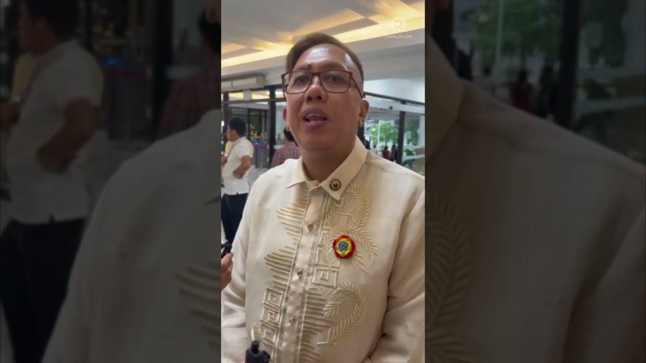 Akbayan Representative Perci Cenda A On SC S Decision VP Sara Impeachment Doble Painful 