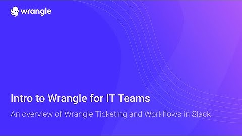 Intro to Wrangle for IT Teams