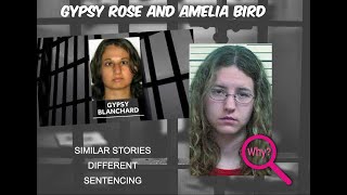 Gypsy Rose and Amelia Bird Similar Stories Different Sentencing Why?