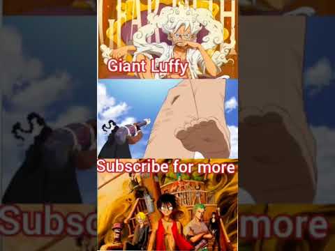 Luffy Giant mode|Lily is totally into him😃