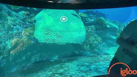 CenarioVR FloorProjection