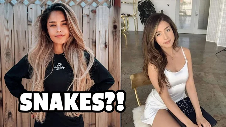 My Female Dominated Workplace Is Toxic!