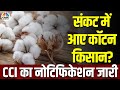 Cotton Commodity News | कॉटन की खरीद पर CCI का नोटिस जारी, सिर्फ रजिस्टर्ड किसानों से होगी खरीद!