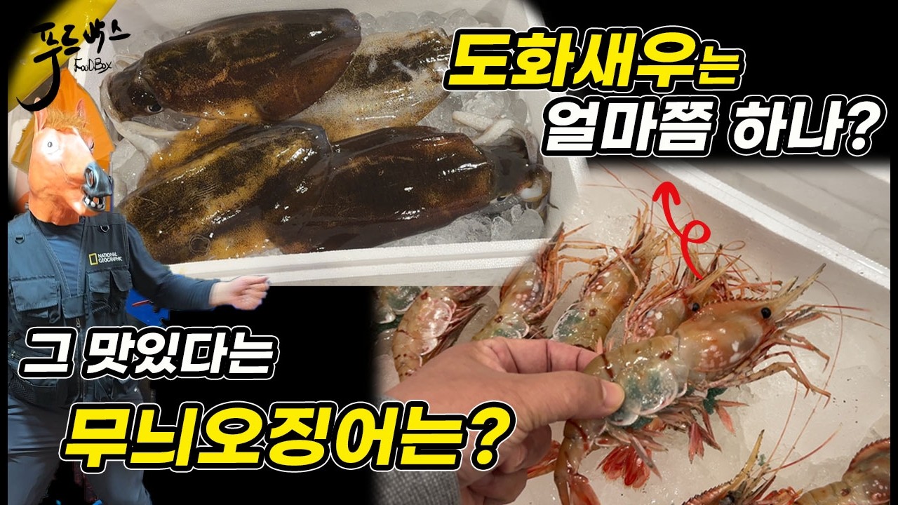계절이 변화하는 시기에 놓치면 안되는 것들... 방어 시즌 시작과 드디어 나오기 시작하는 맛도리 수산물들~    [노량진수산시장 20261001]