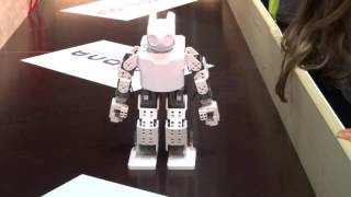 Mache Es Einfach Nach Was Robi Hier Zeigt