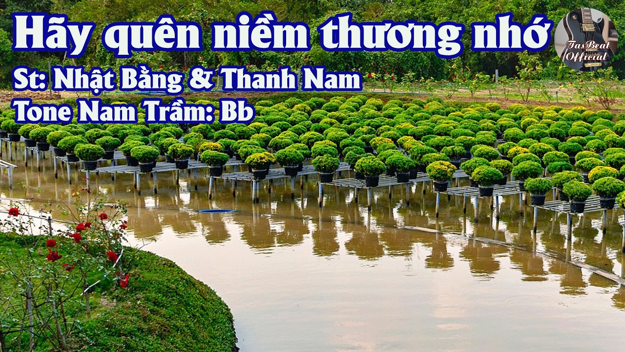 Karaoke Hãy Quên Niềm Thương Nhớ Tone Nam Trầm | TAS BEAT
