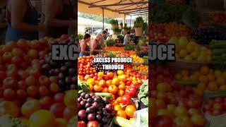 Budget-Friendly Living with Seasonal Produce