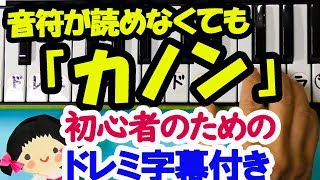 初心者向けピアノ【カノン】ドレミ字幕付きと音声解説