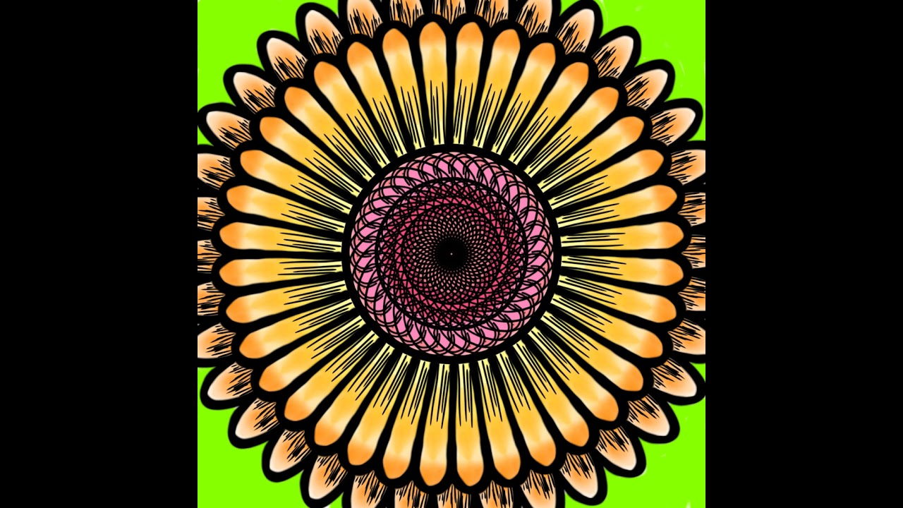 How to Draw A Colourful Flower... 