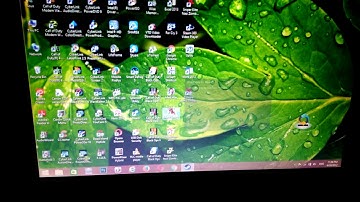 Max payne stop working