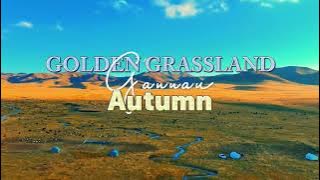 Wander the Meiren Grassland in Fall — Nature at Its Finest!