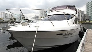 プレジャーボート、東京湾クルーズ=潮風を感じながら新名所を堪能 プレジャーボート、東京湾クルーズ=潮風を感じながら新名所を堪能