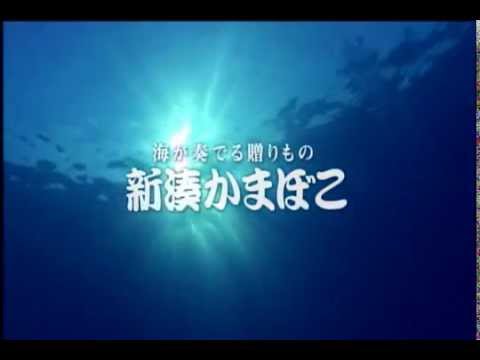 【とやまローカルCM】新湊かまぼこ