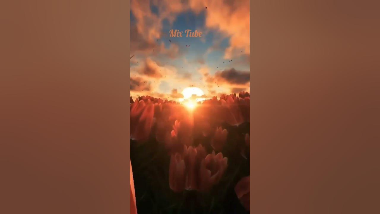 انشودة اضفيت🌷 #العفاسي  #nasheed #islamic