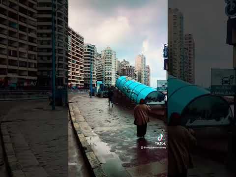 مجد القاسم من هنا بدا الكلام