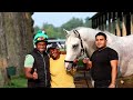 Breeders' Cup Connections: Recap
